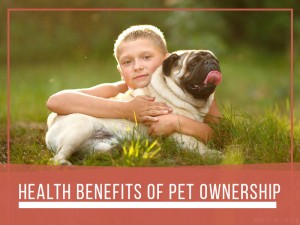 Dogs 32 - Health benefits of pet ownership