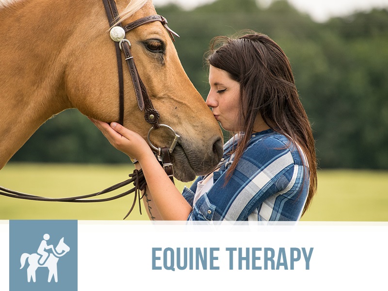 Equine Therapy The Pet Professionals