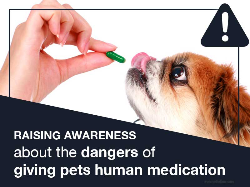 Raising-awareness-about-the-dangers-of-giving-pets-human-medication