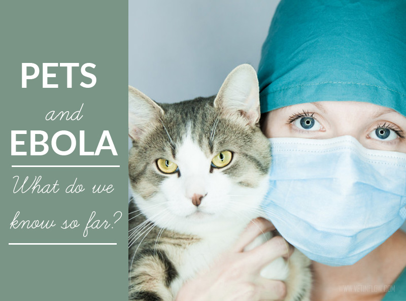 Dogs 20 - Pets and Ebola What do we know so far