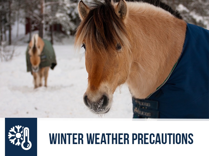 horse-44-winter-weather-precautions
